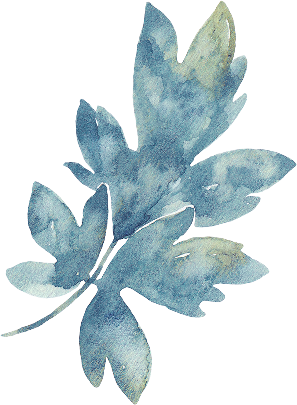 Blossom - Printable Watercolor Stickers (400x500), Png Download