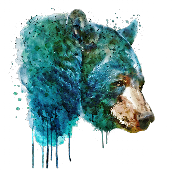 Bleed Area May Not Be Visible - Bear Head Watercolor (600x600), Png Download