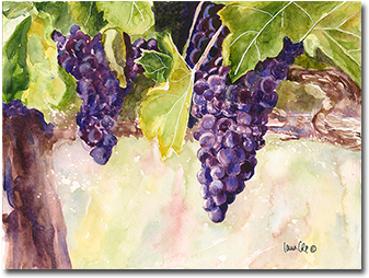 "grapes On The Vine" Watercolor Private Collection - Paint (350x400), Png Download