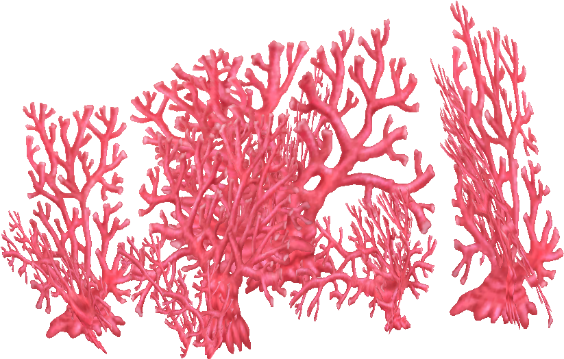 Fire Coral - Tree (830x830), Png Download
