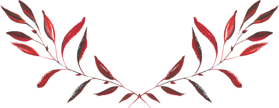 Hand Painted 2540634 960 720 - Transparent Flower Watercolor Png (960x373), Png Download