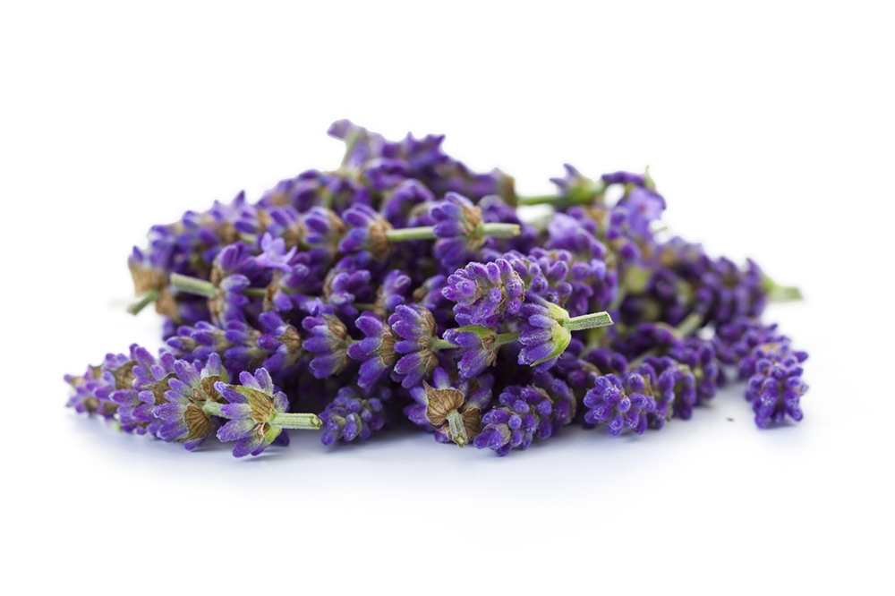 Lavender - Essential Oils 100% Pure Natural Therapeutic Grade (1000x666), Png Download