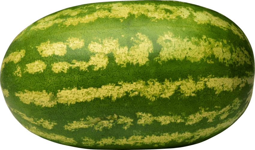 Free Png Watermelon Png Images Transparent - Giant Watermelon Fruit Seeds (850x500), Png Download