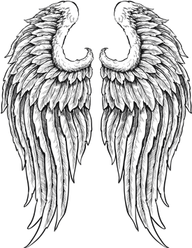 Banner Royalty Free Library Outline Of Wings Clip Art - Detailed Angel Wings With Feathers Black White Vinyl (494x355), Png Download