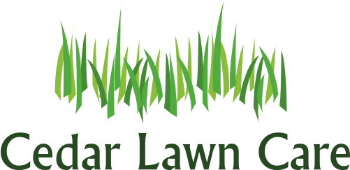 Lawn Care Pictures - Silhouette Grass Lawn Mower (500x260), Png Download