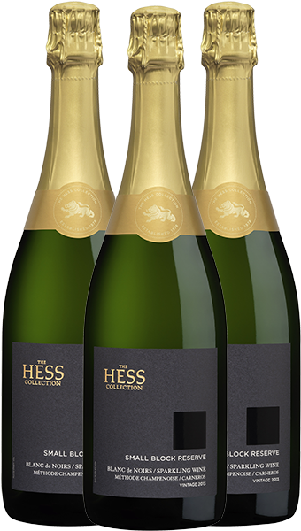 Search - Champagne (360x607), Png Download