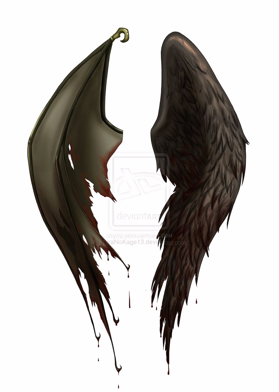 Half Wings Png File - Angel And Demon Wings (900x1264), Png Download