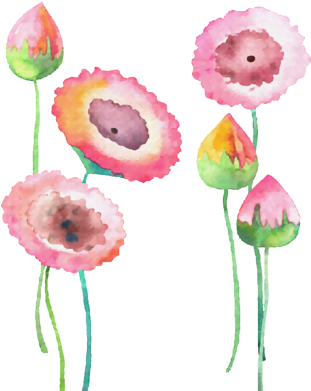 Watercolor Flower Watercolour Png (646x775), Png Download