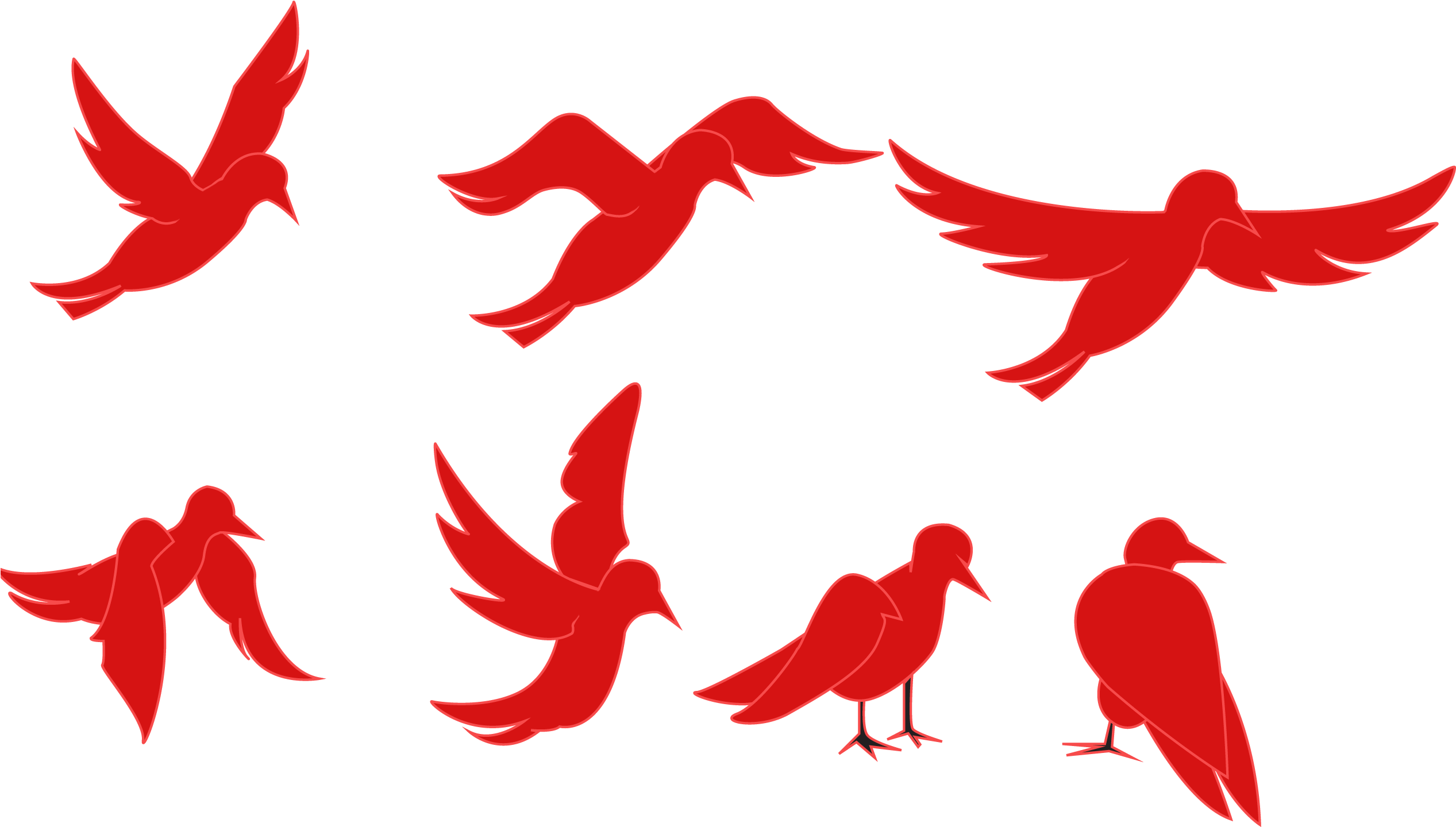 Download Animation Of A Silhouette Of A Bird On A White Background - Red Bird  Flying Png PNG Image with No Background 