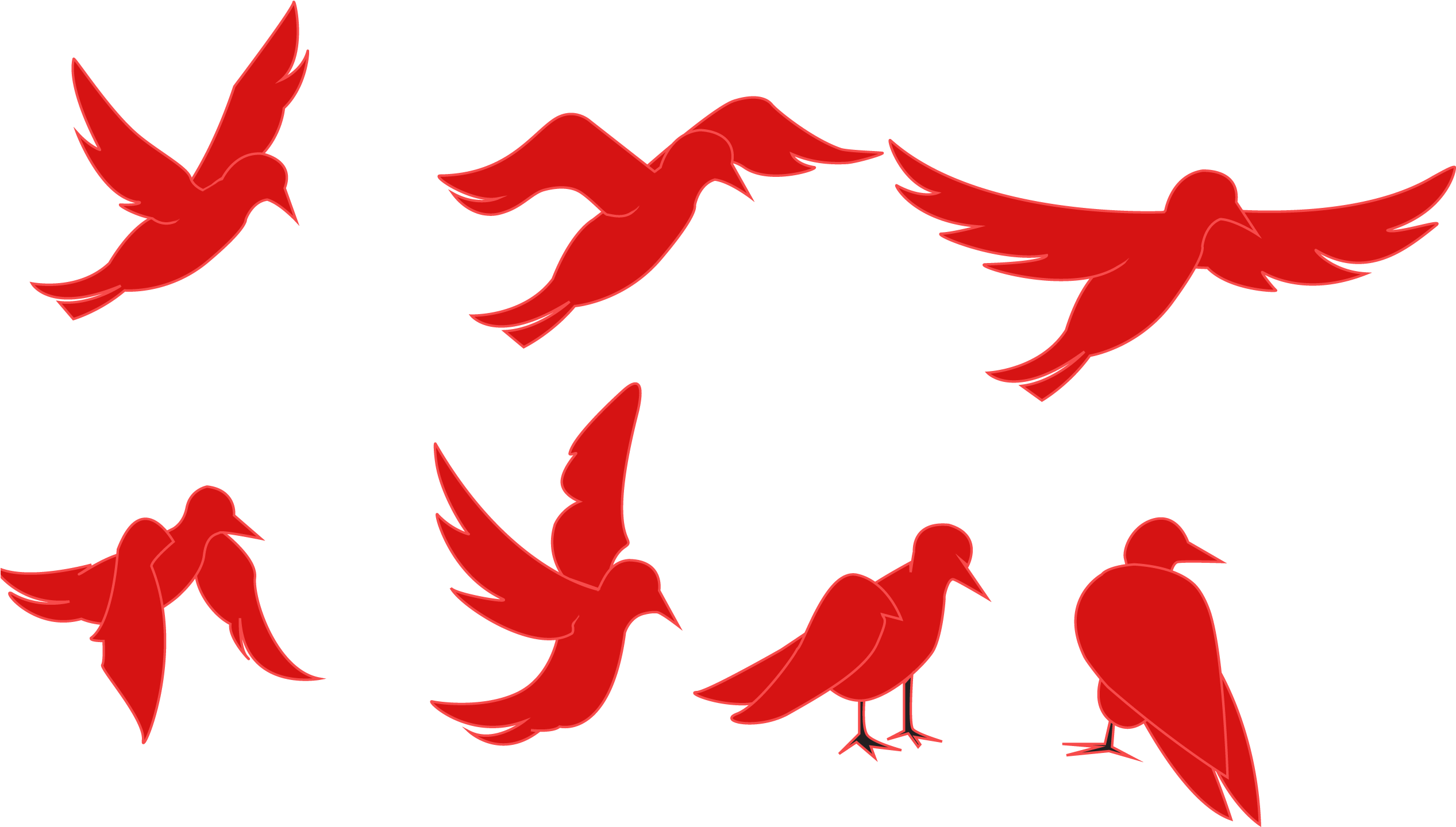 Download Animation Of A Silhouette Of A Bird On A White Background Red Bird Flying Png Png Image With No Background Pngkey Com