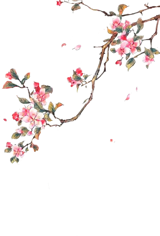 Cung Cấp "nguyên Liệu" Để Có Một Bức Hình Như Ý Nhớ (565x800), Png Download