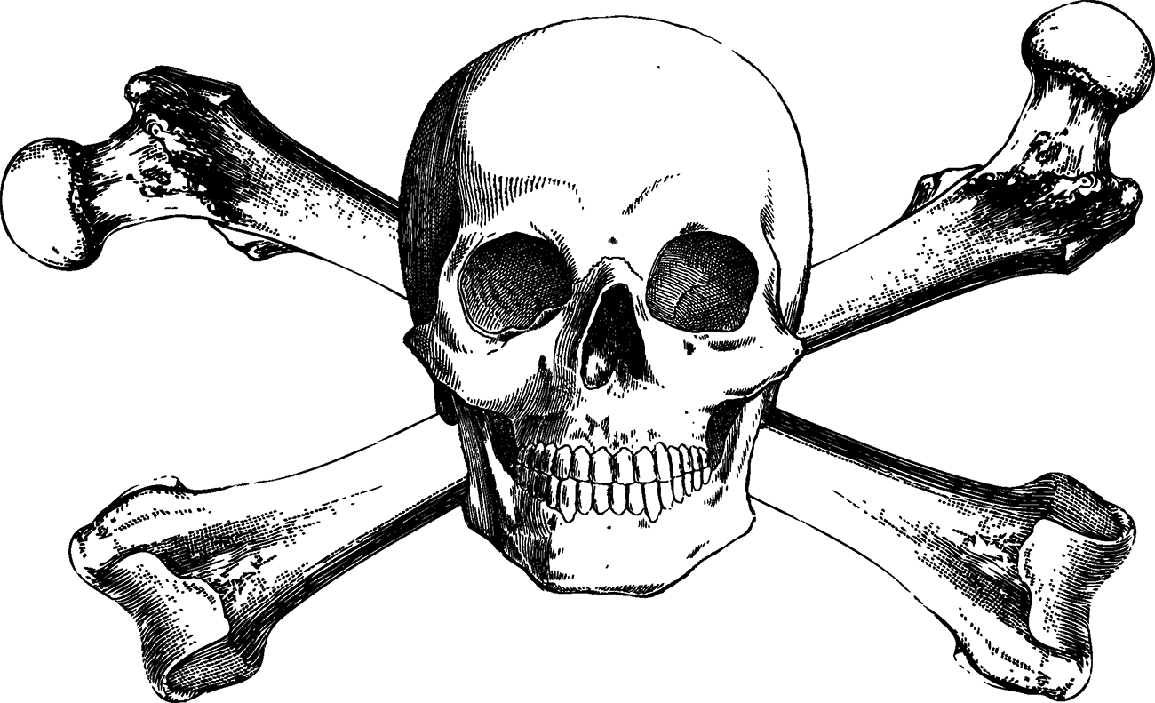 Skull And Bones Skull And Crossbones Drawing - Bones Drawing (1300x791), Png Download