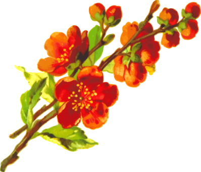 Flower Rose Floral Design Plant Symbolism - 47.2x70.9 Flower Bamboo Natural Rug Housewarming Brown (398x340), Png Download