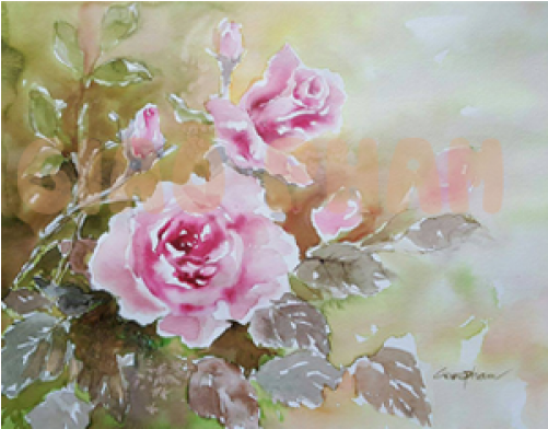 Garden Roses (500x500), Png Download