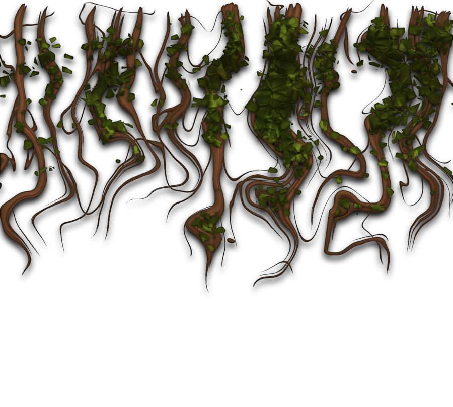 Branch Clipart Branch Vine Virginia Creeper - Art (900x810), Png Download