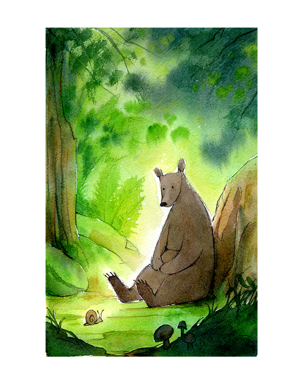 The Bear And The Snail - Wallaby (646x646), Png Download