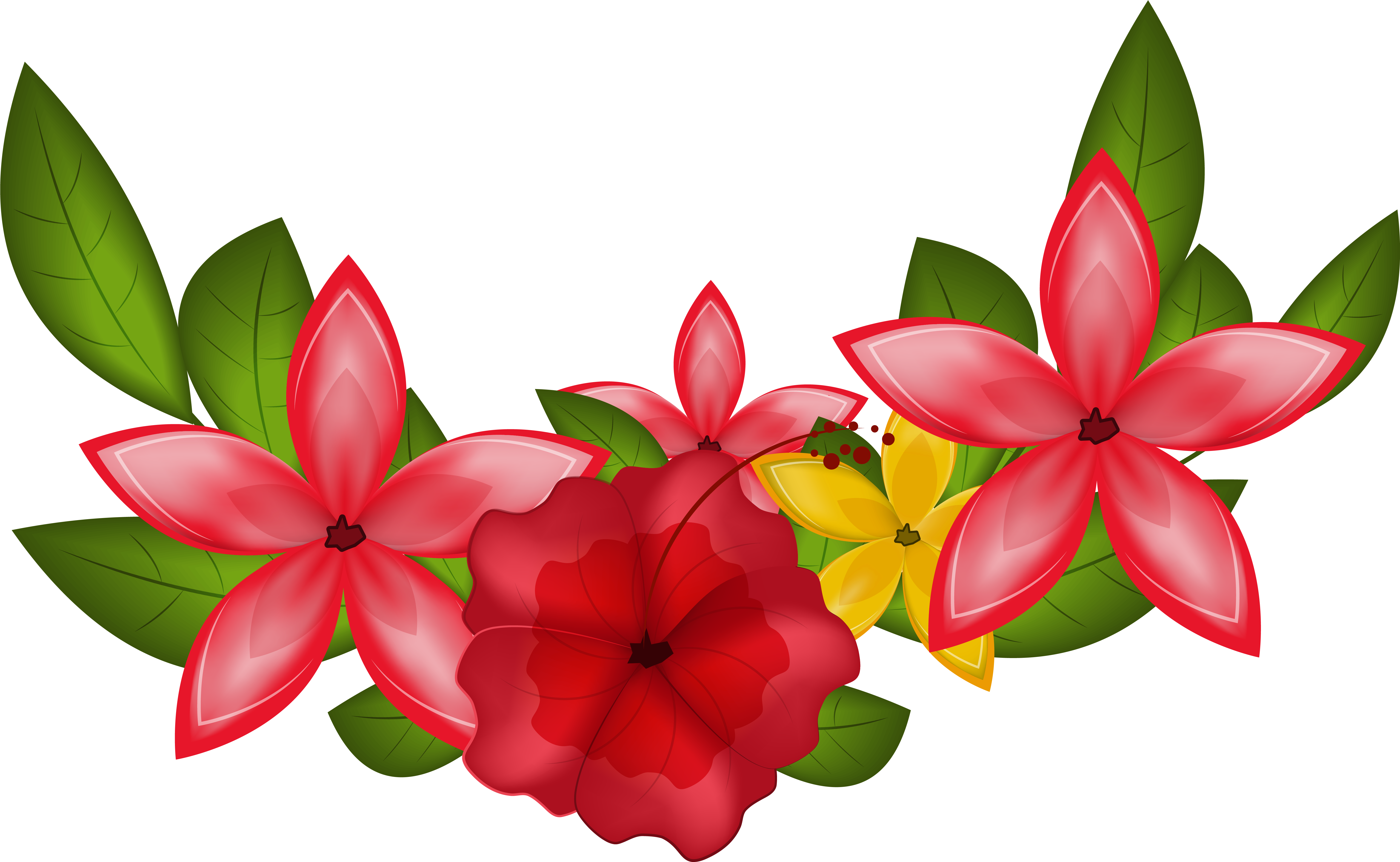 Floral Clipart Png (6221x3898), Png Download