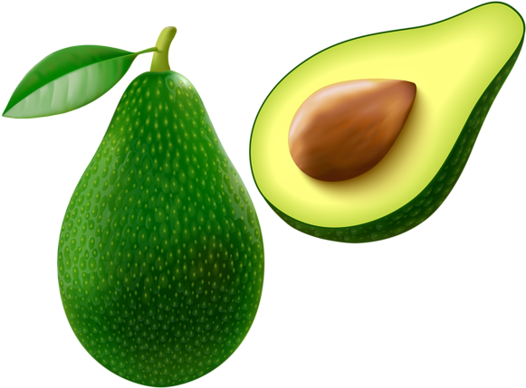 Avocado Png Vector Clipart Image - Clip Art Avocado (600x441), Png Download
