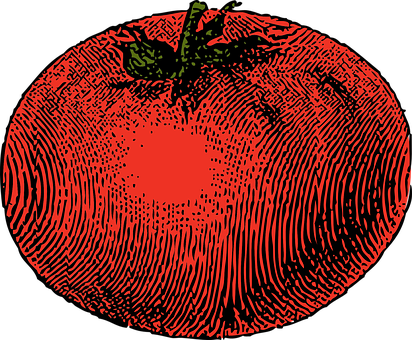 Tomato Vegetable Red Tomato Tomato Tomato - Tomato Clip Art (412x340), Png Download