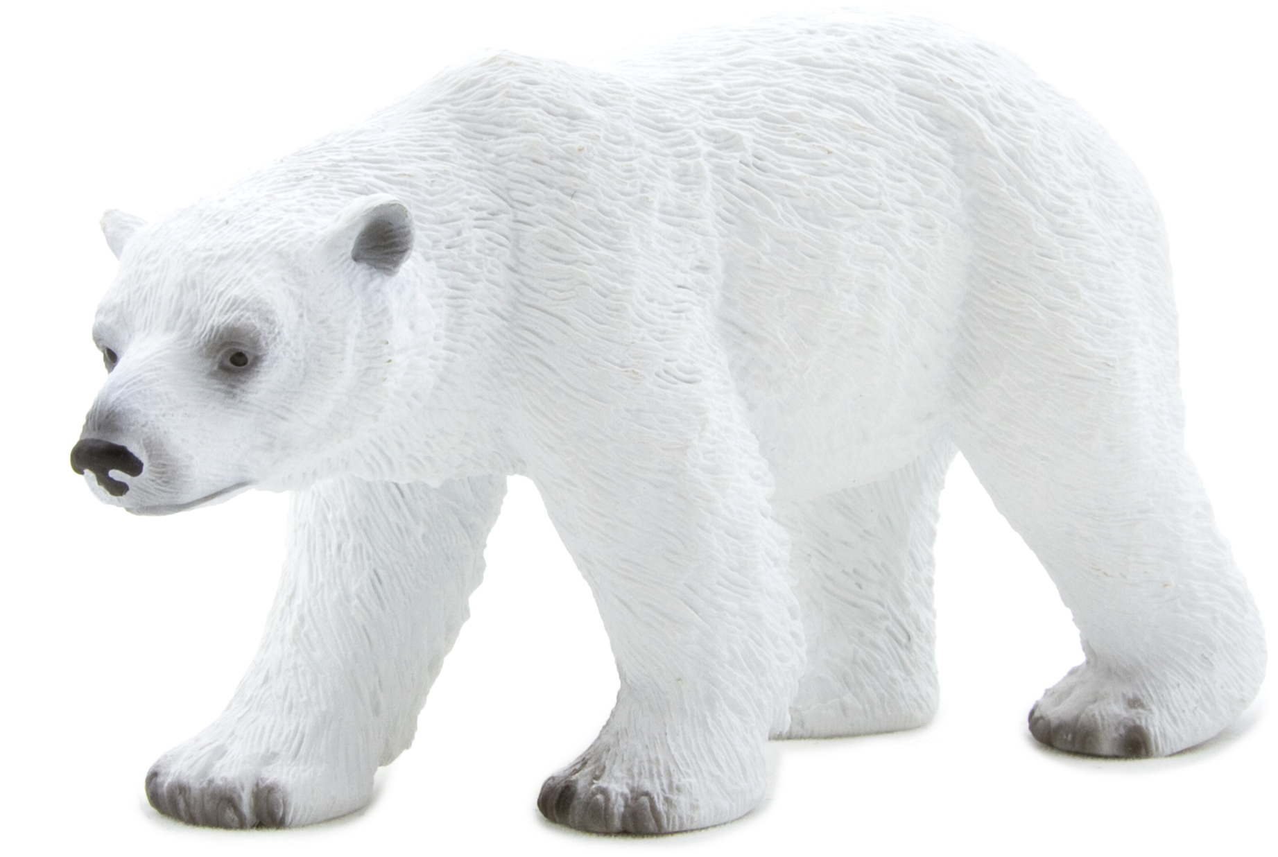 Animal Planet: Polar Bear (5197x3465), Png Download
