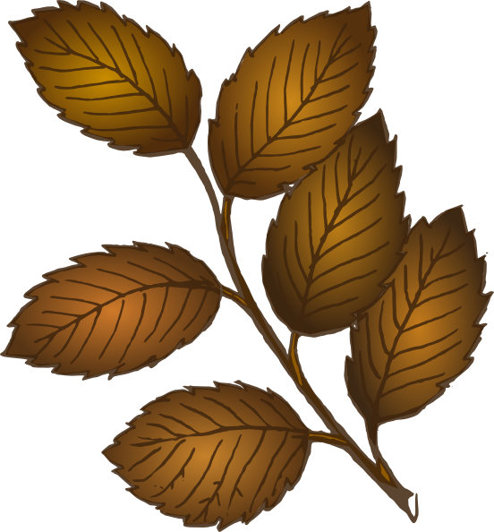 Fall Leaves Branch Svg Clip Arts 552 X 594 Px (552x594), Png Download