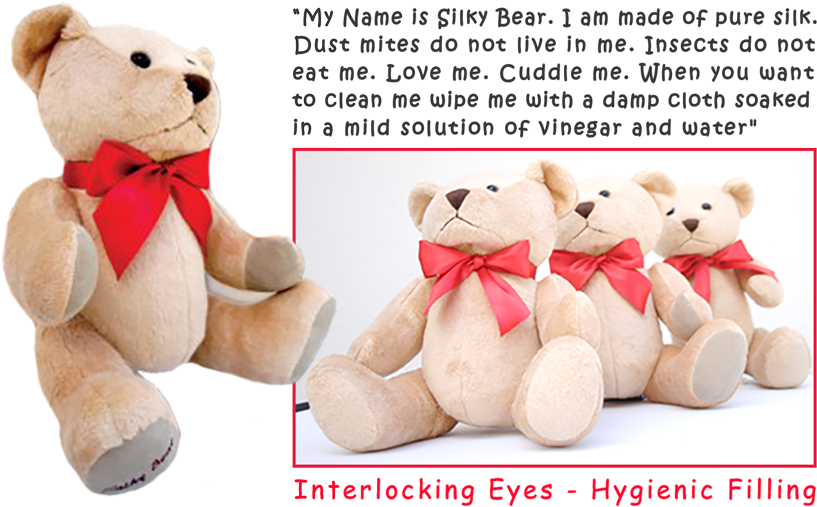 Teddy Bear - Bear (900x526), Png Download