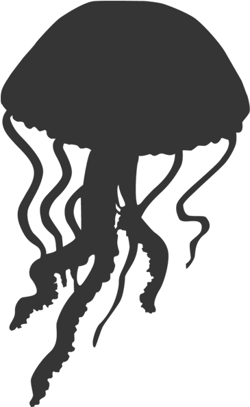 Jelly Fish Silhouettes (600x600), Png Download