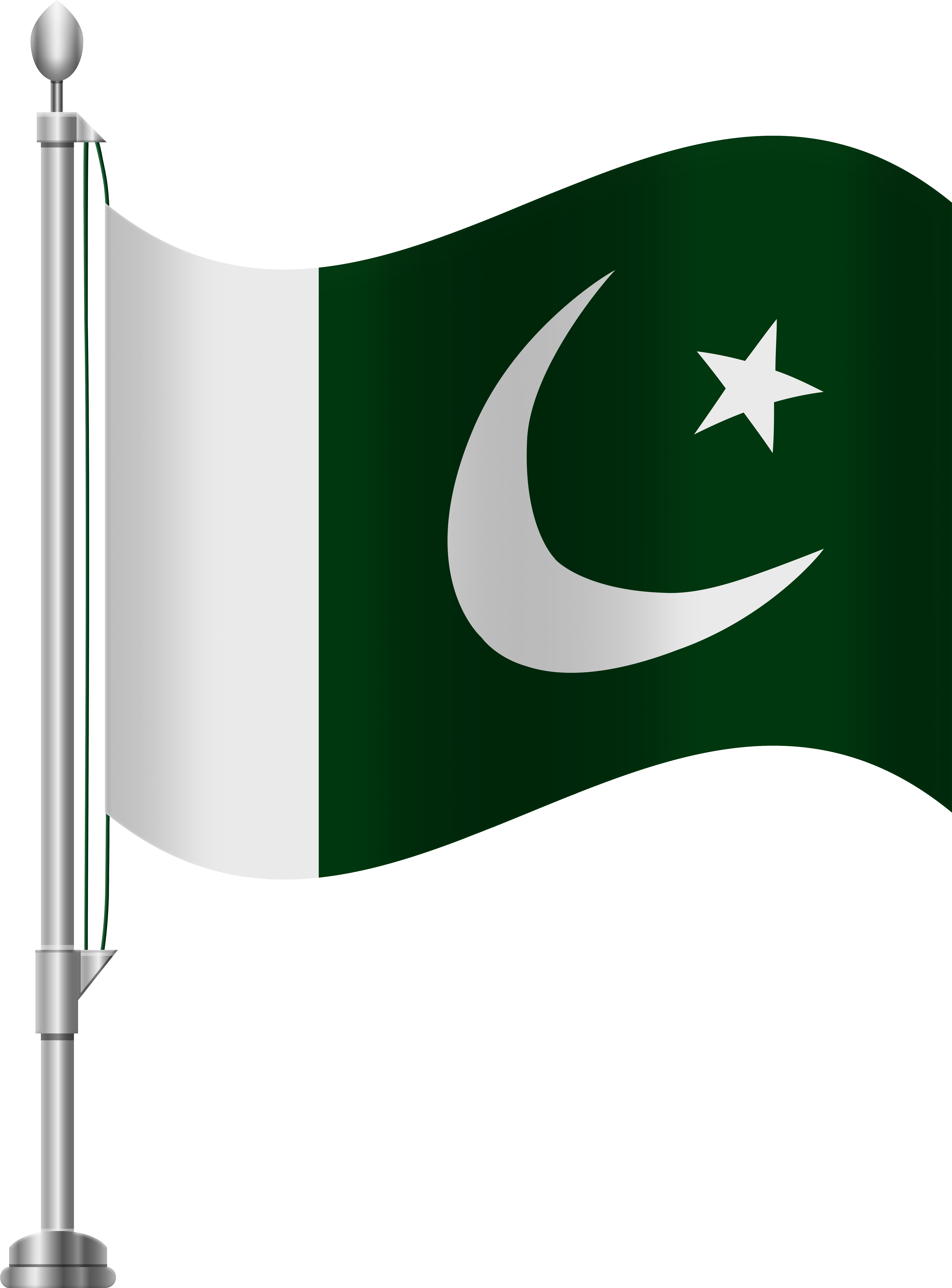 Pin By Hamid Faiz On Home Decor In 2018 - Pakistan Flag With Stick (384x500), Png Download