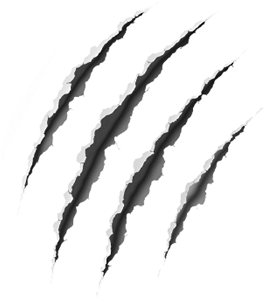 Claw Scratches Png Pic - Portable Network Graphics (420x420), Png Download