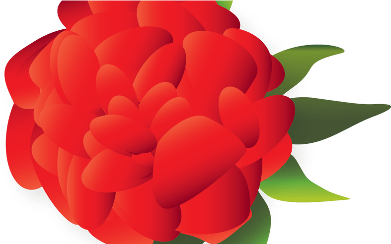 Clipart Stock Cut Cuisine Clip Art Flower Transprent - Mexican Flower Clipart Png (800x491), Png Download