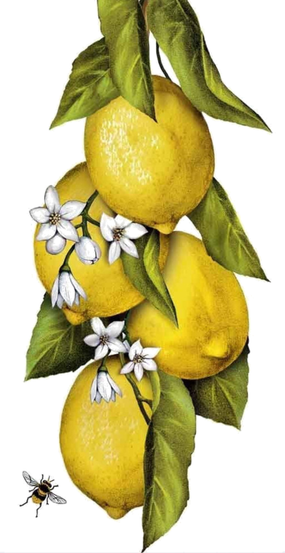 Citrons,fruits - Mary Lake-thompson - Hanging Lemons On A Branch Flour (413x800), Png Download