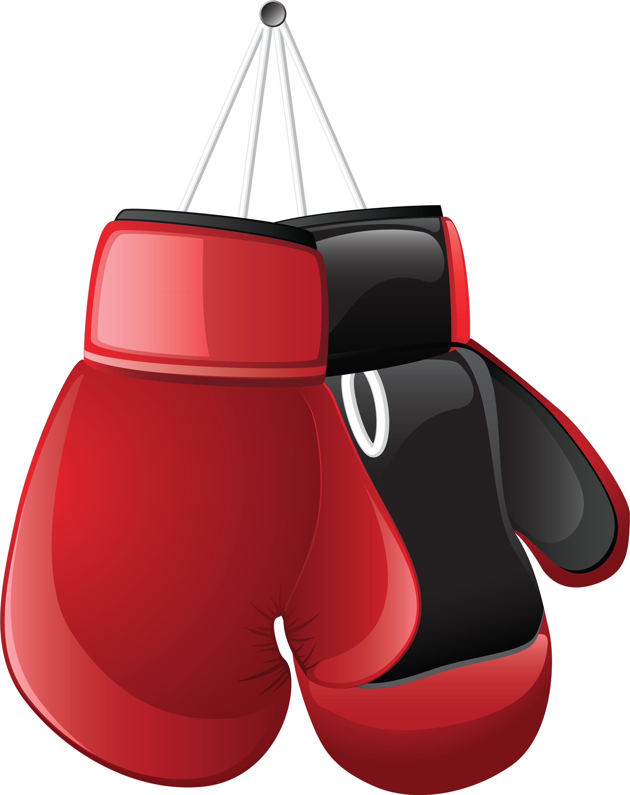 Boxing Gloves Clipart Png (2886x3672), Png Download