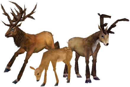 Deer - Wow Deer (440x295), Png Download