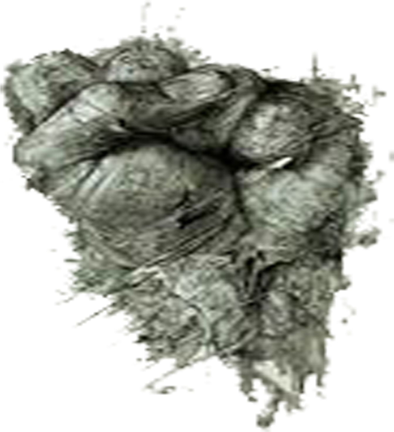 Herbicide Weed Grey Pattern - Nordmann Fir (2953x2953), Png Download