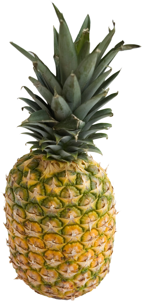 Download Pineapple Png Image - Pineapple Png (500x1046), Png Download