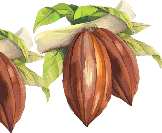 Lindt & Sprüngli Produces - Health (550x453), Png Download