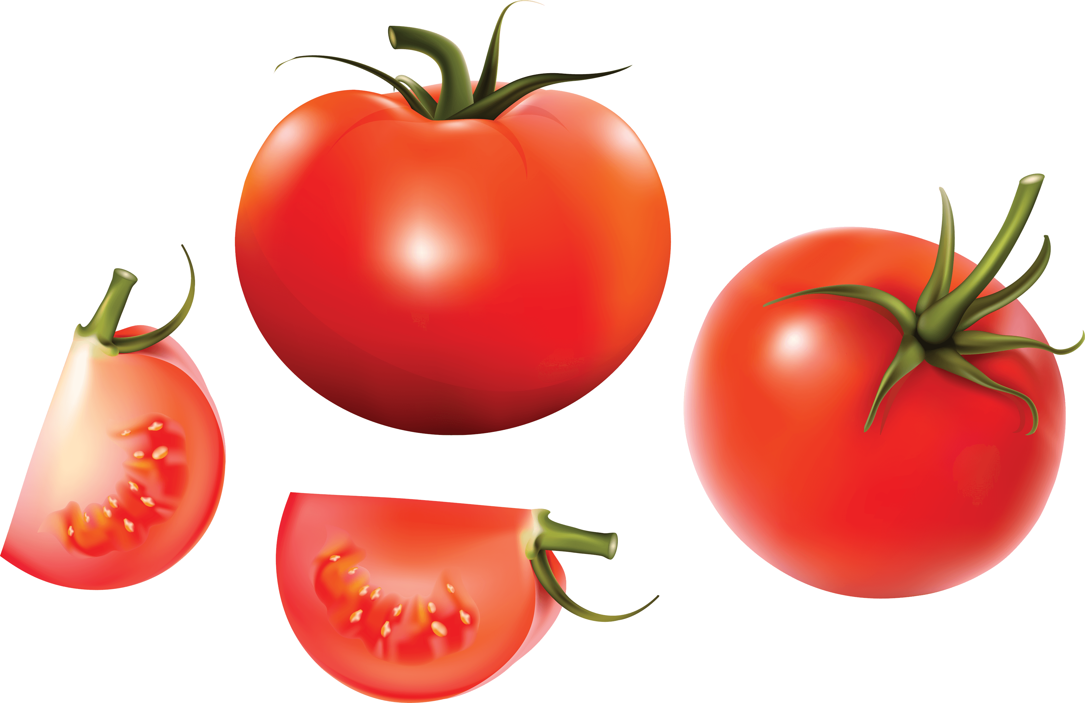 Tomato Splat Png Clip Art Free Library - Tomato Png (3528x2287), Png Download