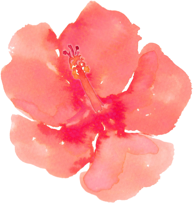 Png Freeuse Stock Painting Download Clip Art Hand Painted - Hibiscus Watercolor Clipart (747x800), Png Download