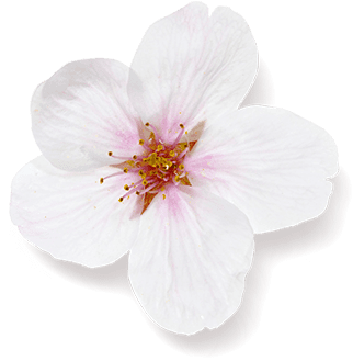 Cherry Blossom - Artificial Flower (1040x1040), Png Download