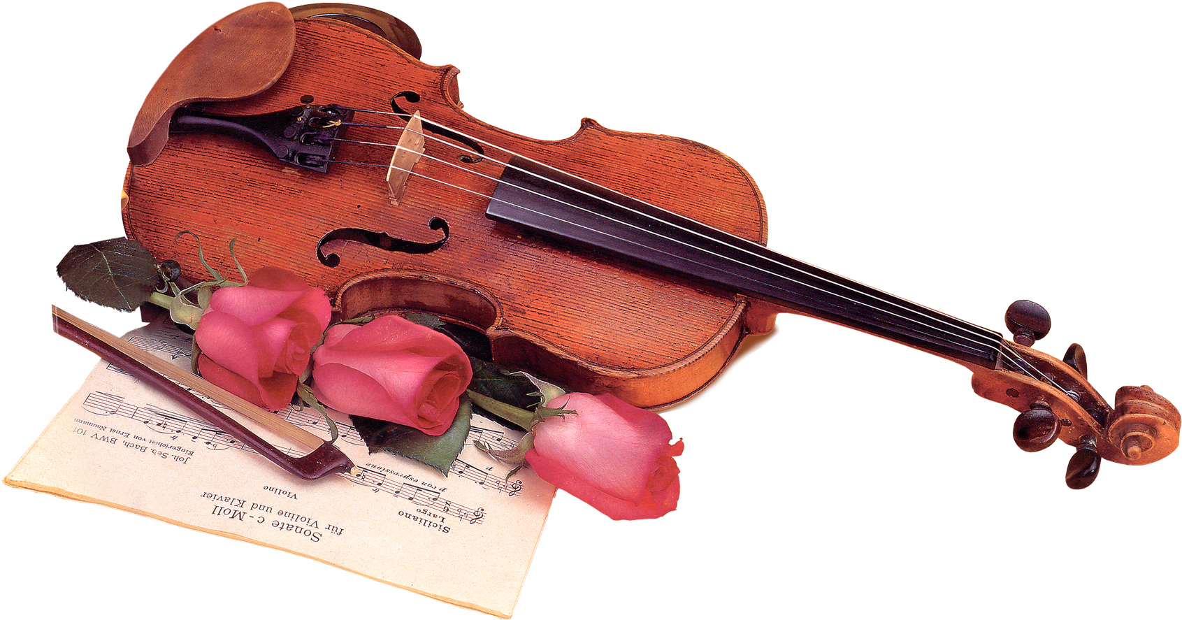 Violin & Bow Png Image - Цветы И Музыкальные Инструменты (1780x1034), Png Download