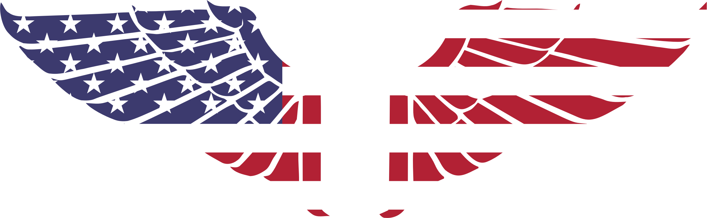 This Free Icons Png Design Of American Wings (2284x706), Png Download