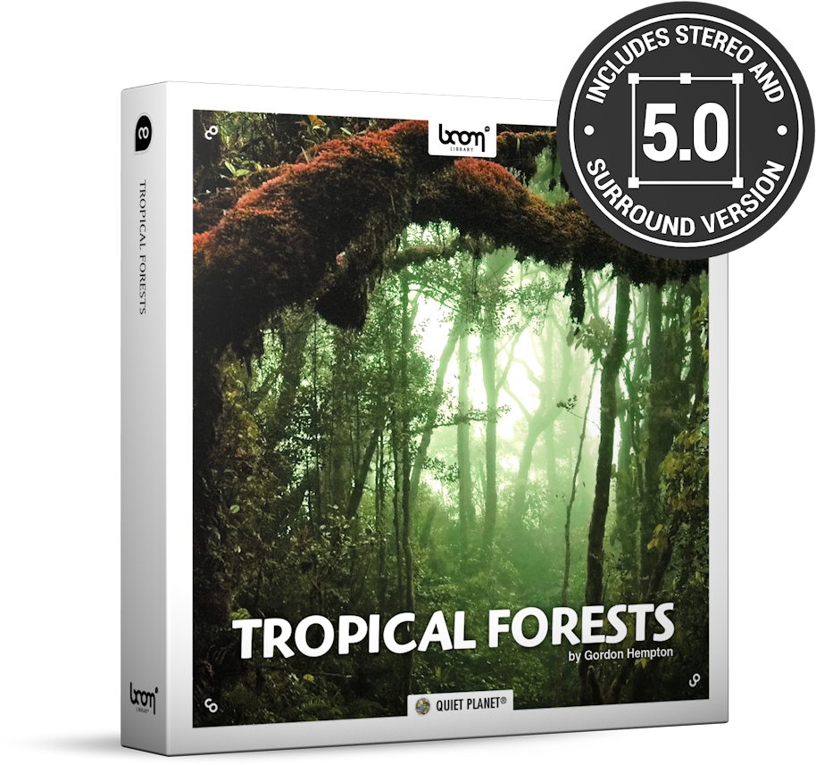 Tropical Forests Nature Ambience Sound Effects Library - Sound Design Wav Nature Desserts (1000x900), Png Download