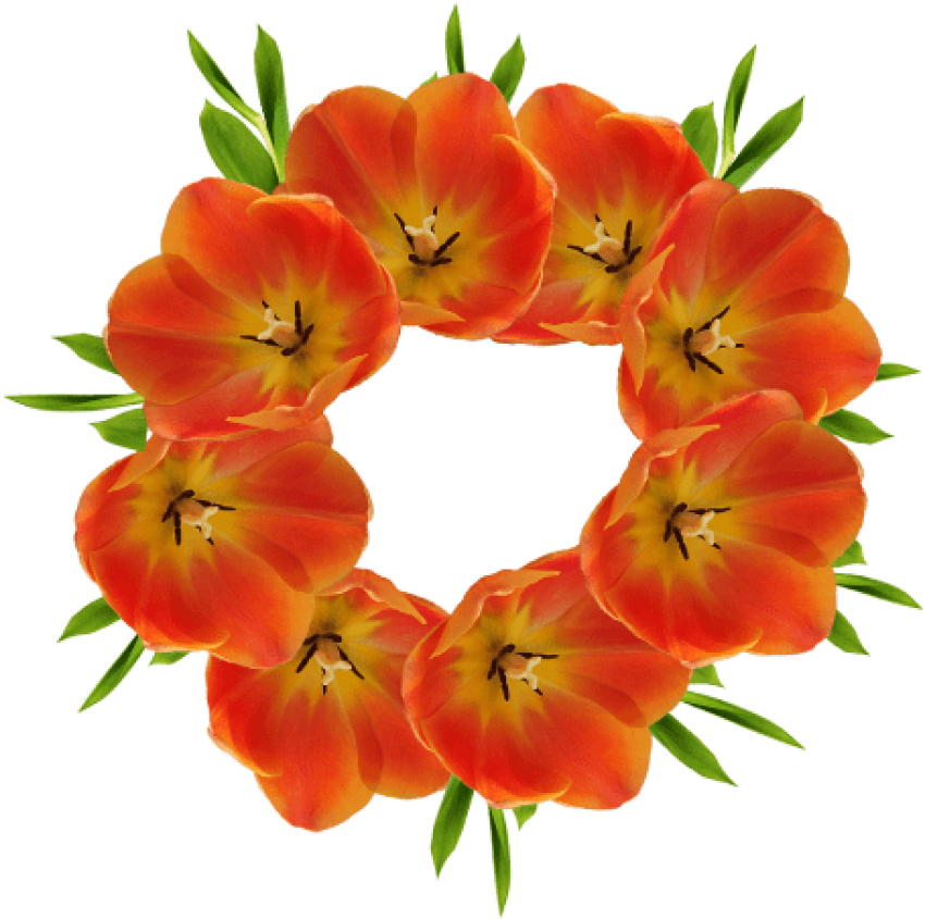 Crown,flowers,crown - Happiness: Nature Flower Coloring Book - Vol.3 (500x500), Png Download