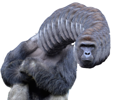Harambe Png Graphic Free - Harambe Gorilla Collection: Harambe The Gorilla / Dicks (465x392), Png Download