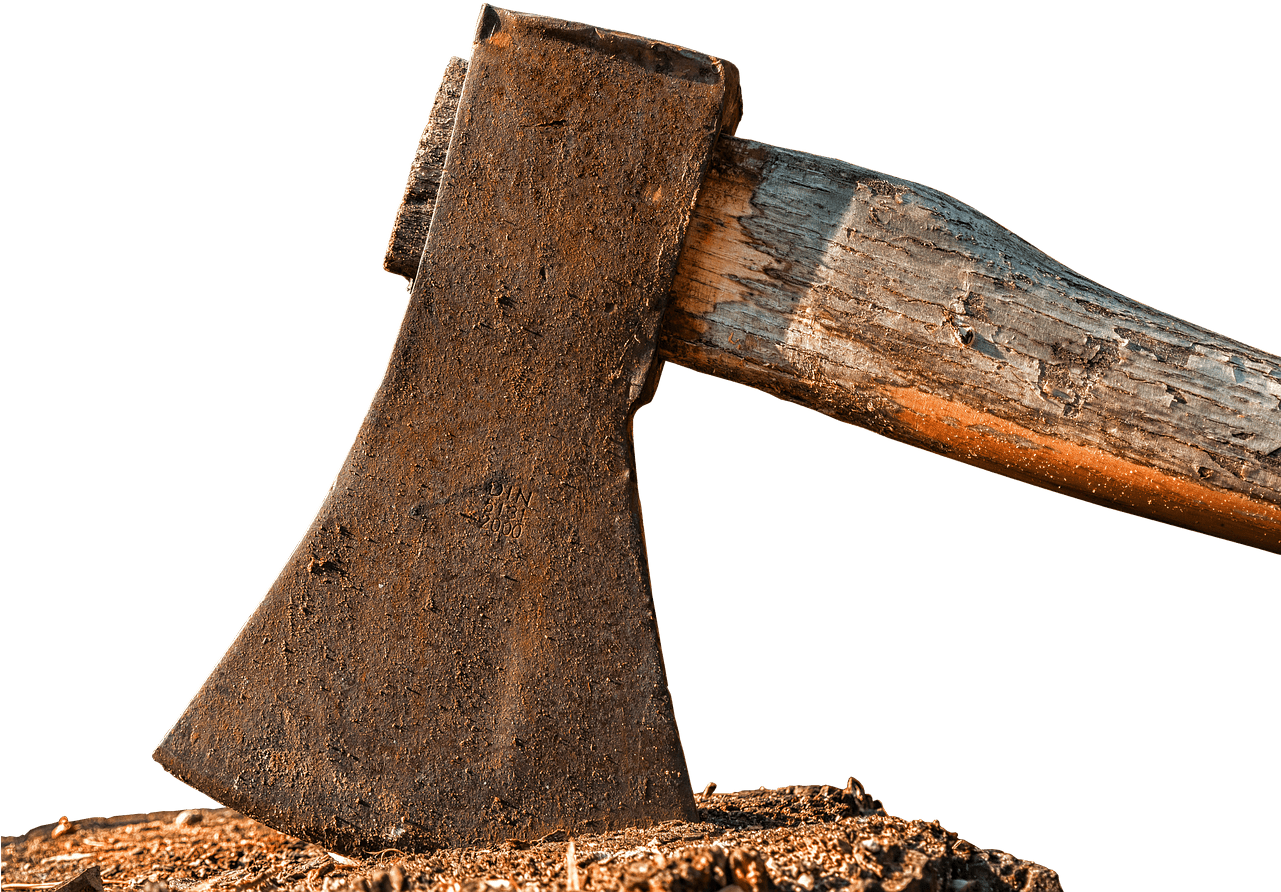 Axed From Amazon - Axe On Tree Png (1280x960), Png Download