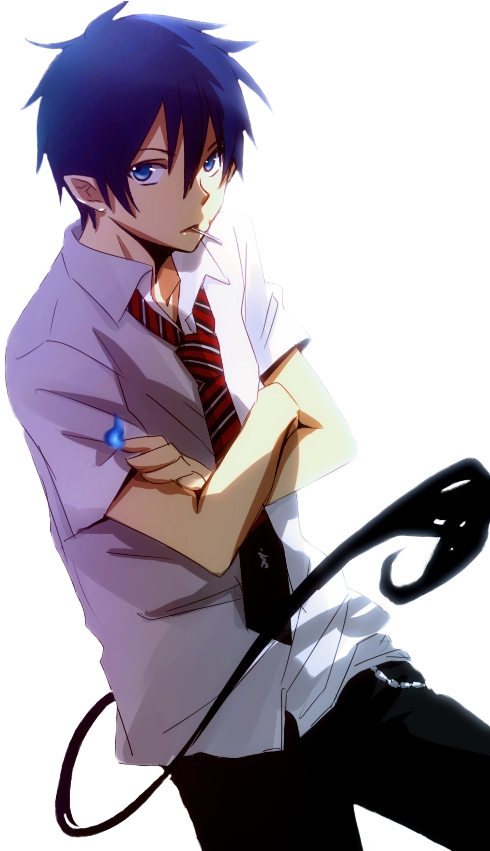 Blue Exorcist And Ao No Exorcist Image - Rin Okumura (499x851), Png Download