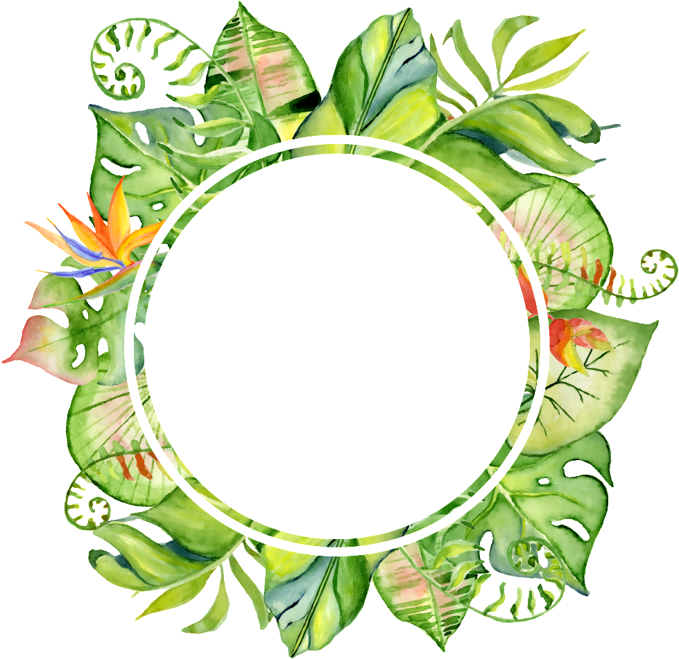 This Graphics Is Hand Painted Original Leaf Frame Png - Baby Shower Invitation Boho Tropical (1024x1024), Png Download