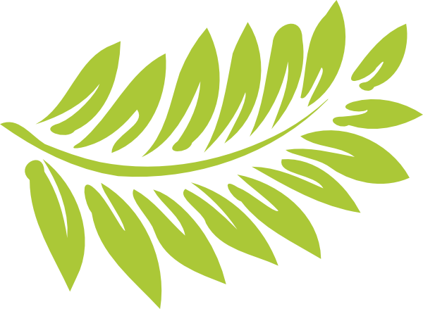 /plants/fern/fractal Fern - Hibiscus Clip Art (600x439), Png Download