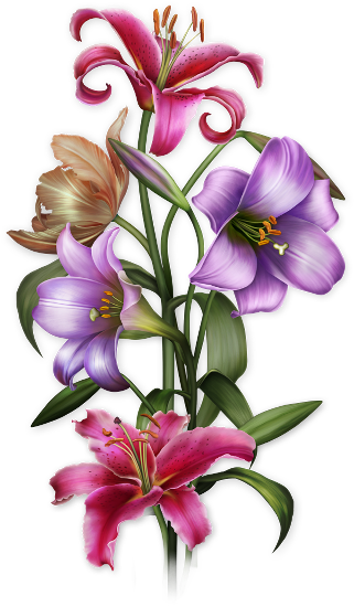 Flower Prints, Flower Art, Flower Wallpaper, Decoupage - Flower Butta Png (321x550), Png Download