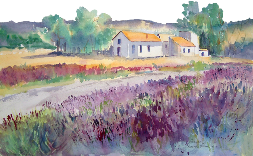 Maurie Harrington (960x636), Png Download